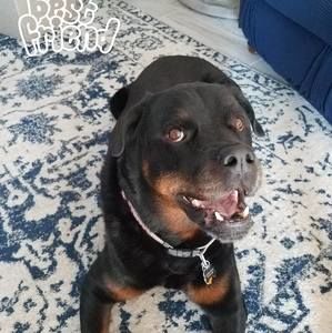 Meet your Posher, Joanne